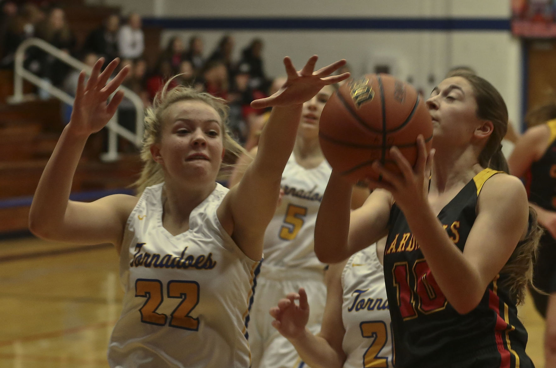 Tri City-Sangamon Valley Warrensburg Latham 18 01.03.19.JPG